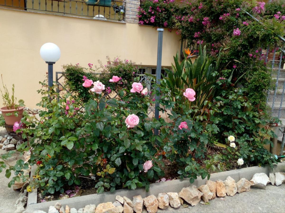 Le Rose Apartamento Olmedo Exterior foto